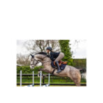 ANKY® Pad Anatomic Tech Jumping - Image 5