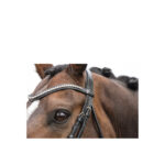 ANKY® Bridle - Image 4