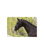 ANKY® Bridle Comfort Fit Double Anatomical - Image 5