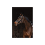 ANKY® Bridle Metallic Patent - Image 3