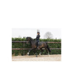 ANKY® Fetlock Boots - Image 5