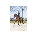 ANKY® Bell Boots - Image 6