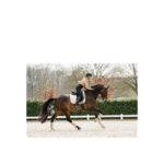 ANKY® Fur Bell Boots Jubilee - Image 3