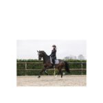 ANKY® Ear Bonnet Stones - Image 4