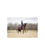 ANKY® Ear Bonnet ATB25007 3C - Image 4