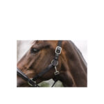 ANKY® Halter and Lead - Image 4