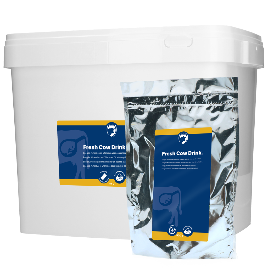 Excellent Fresh Cow Drink 500 g