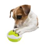 AFP Interactives - Dog Interpreter - Image 2