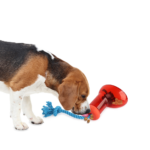 AFP Doggies' Shoes Big Boot Dispenser L - Image 5