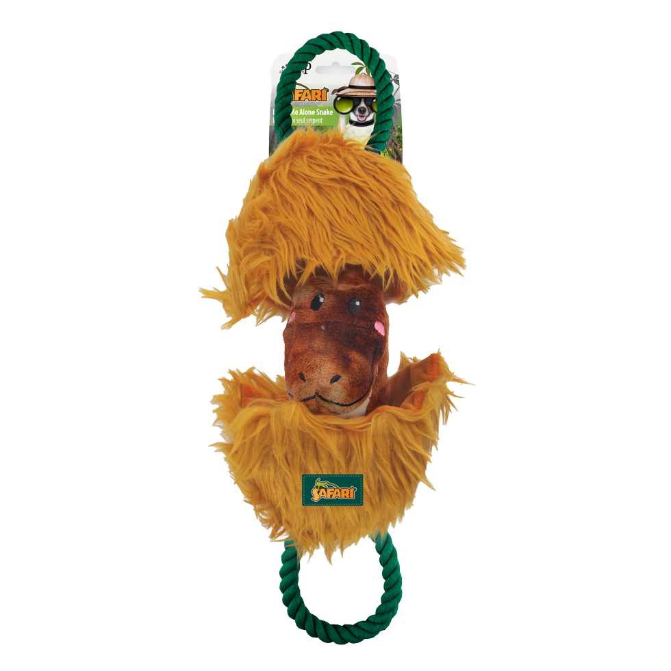 AFP Safari - Leave me Alone Snake