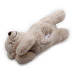 AFP Little Buddy - Warm Bear - Image 2