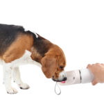 AFP 2 In 1 Stainless Drinking Bottle - Image 5