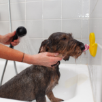 AFP Calm Paws - Bath Anti-anxiety Duck - Image 2