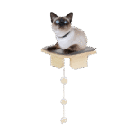 AFP Skywalk - Corner Platform