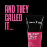 Animology Puppy Love Puppy Shampoo 250 ml - Image 2