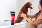 Animology Dogs Body Dog Shampoo 250 ml - Image 3