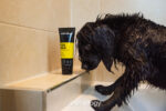 Animology Fox Poo Dog Shampoo 250 ml - Image 3