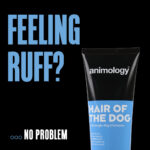 Animology Hair Of The Dog Anti-Tangle Dog Shampoo 250 ml - Image 2