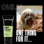 Animology Deep Clean Intensive Dog Shampoo 250 ml - Image 2