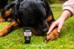 Animology Paws & Nose Balm 50 ml - Image 5
