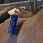 NATHALIE HORSE CARE After Clip Spray 500 ml. - Image 2