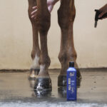 NATHALIE HORSE CARE All Red Shampoo 500 ml. - Image 2