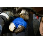 Excellent Bandage Animal Profi 10 cm Blue - Image 3