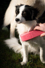 Excellent Pets Grooming Brush Medium Pink - Image 2
