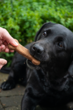 Bugbone Large - Image 4