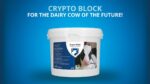 Excellent Crypto Block 2,4 kg - Image 2