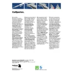Excellent Calfperien 24 x 7 g - Image 3