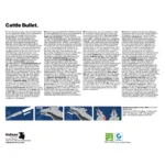 Excellent Cattle Bullet 20 pcs - Image 4