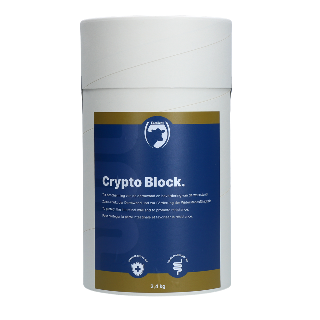 Excellent Crypto Block 2,4 kg