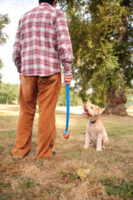 Chuckit! Ultra Ball S (2-pack) - Image 6