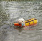 Chuckit! Amphibious Bumper S - Image 4