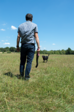 Dog Comets Star Launcher Pink - Image 3