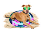 CoolPets Tropical Premium Cooling Mat Flower - Image 2