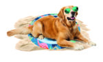CoolPets Tropical Premium Cooling Mat Flamingo - Image 3