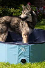 CoolPets Splash Dog Pool ø 80 x 20 cm - Image 4