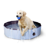 CoolPets Splash Dog Pool ø 100 x 25 cm - Image 3