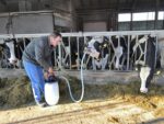 Excellent Cow Drencher - Image 3