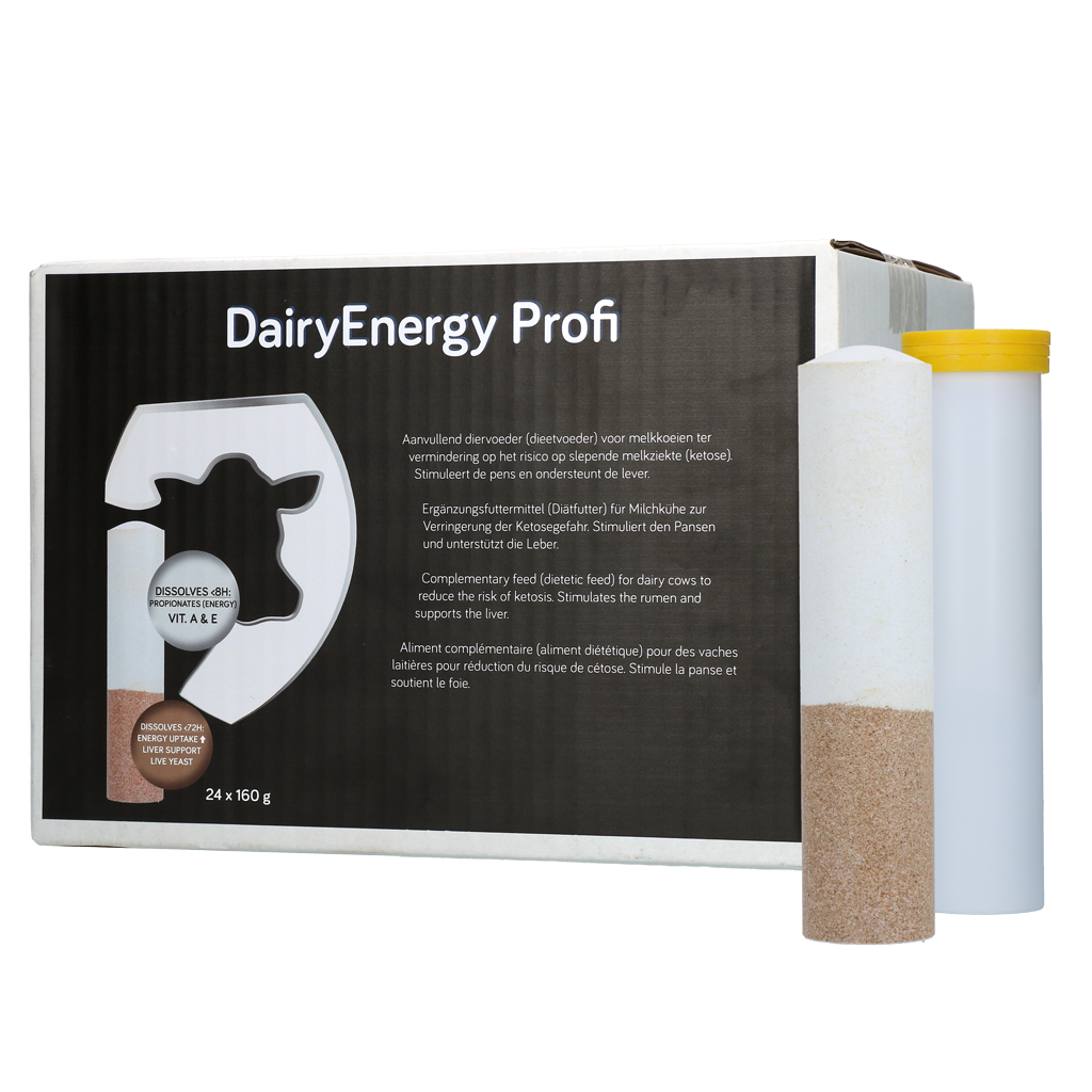 DairyEnergy Profi Bolus 24 x 160 g