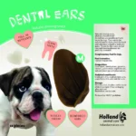 Dental Ears Medium 12 pcs - Image 5