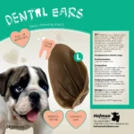 Dental Ears Large 24 pcs - Image 6