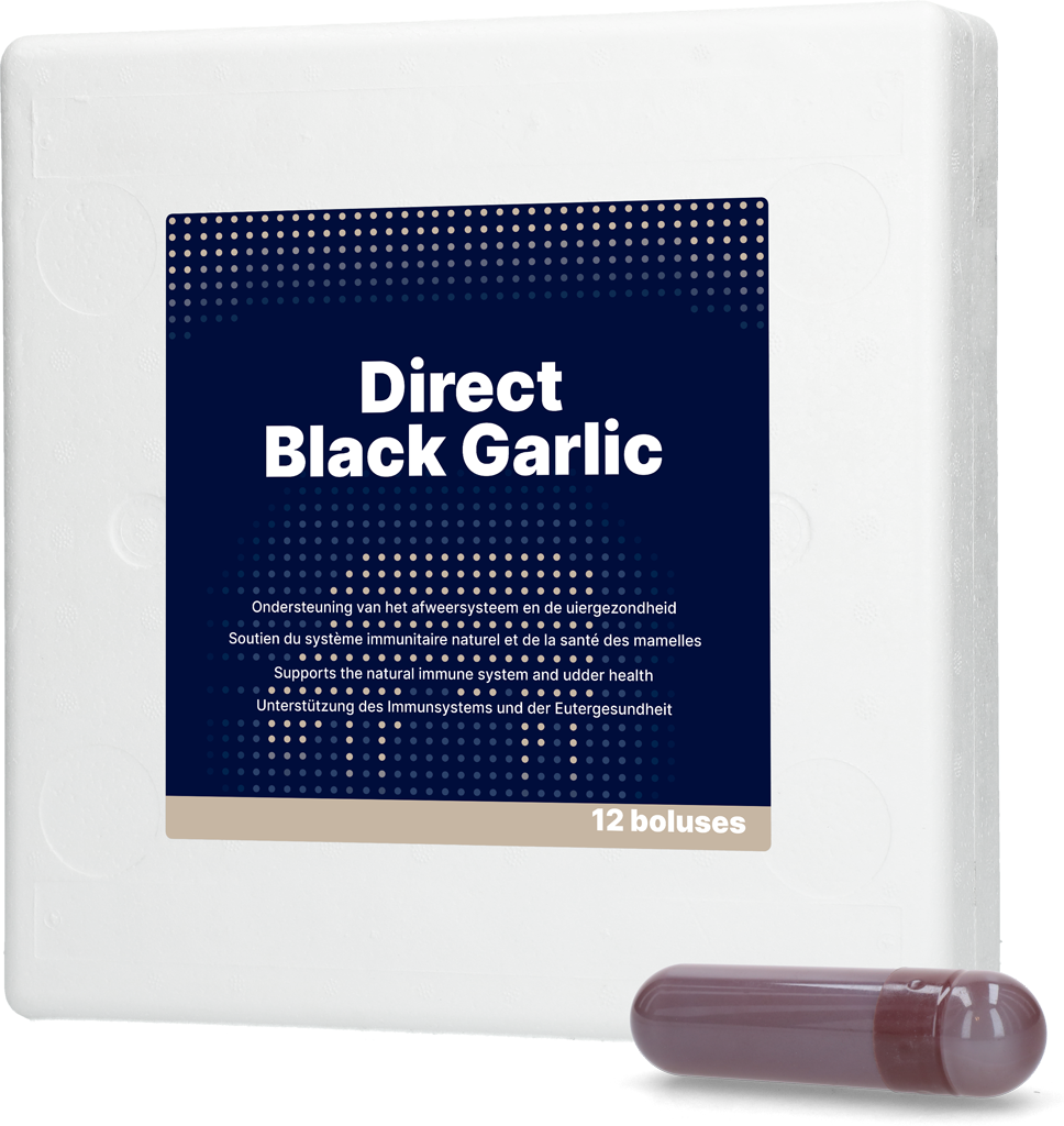 DIRE011 Direct Black Garlic 12 x 60 g - Image 1
