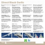 Direct Black Garlic 12 x 60 g - Image 4