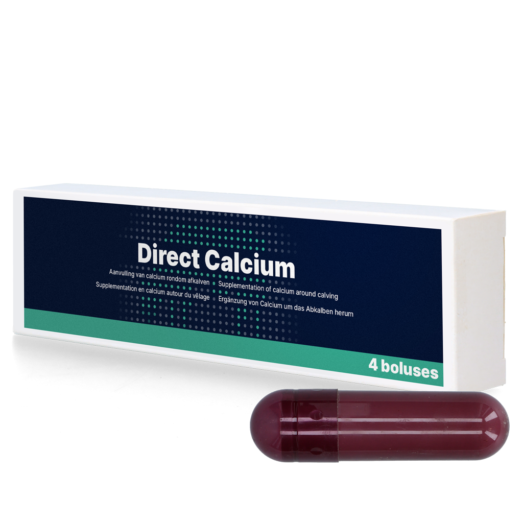 Direct Calcium 4 x 94 g