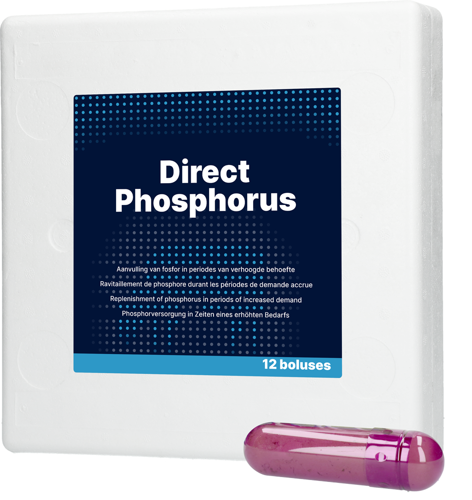 DIRE017 Direct Phosphorus 12 x 123 g - Image 1