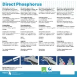 Direct Phosphorus 12 x 123 g - Image 4