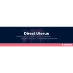Direct Uterus 4 x 45 g - Image 3
